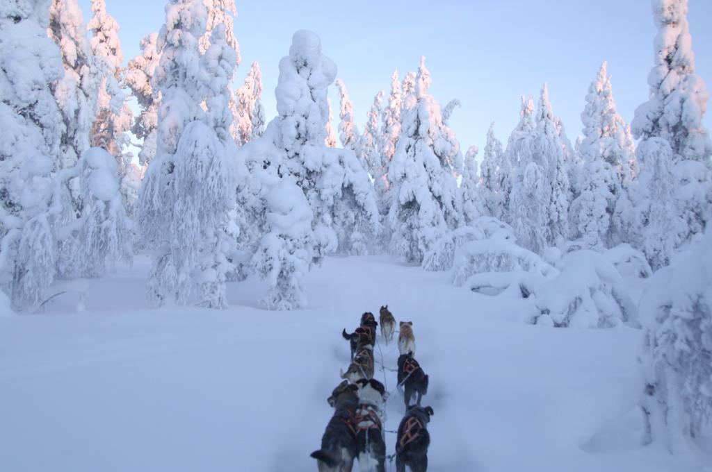 Guesthouse Husky Ivalo Kültér fotó