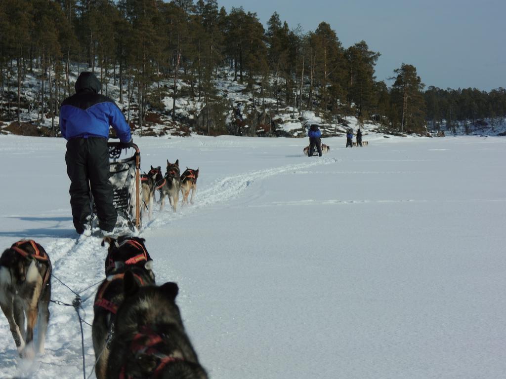 Guesthouse Husky Ivalo Kültér fotó